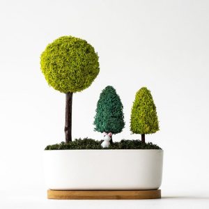 스칸디아모스 포레스트 화분